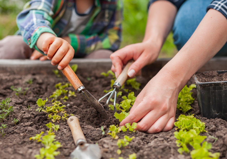Les bienfaits du jardinage éco-responsable : pour une planète en meilleure santé !